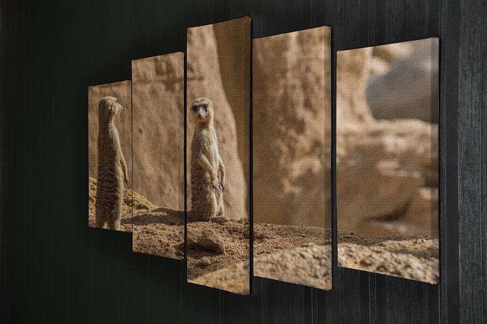 Two alert Meerkats in the desert 5 Split Panel Canvas - Canvas Art Rocks - 2