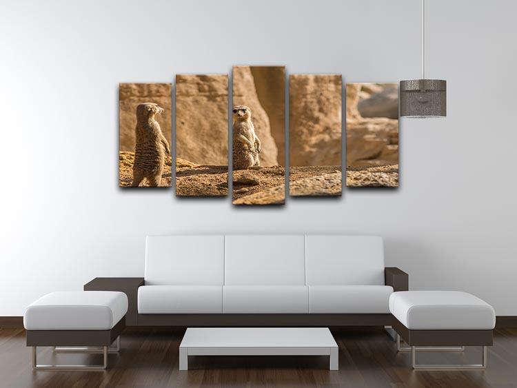 Two alert Meerkats in the desert 5 Split Panel Canvas - Canvas Art Rocks - 3