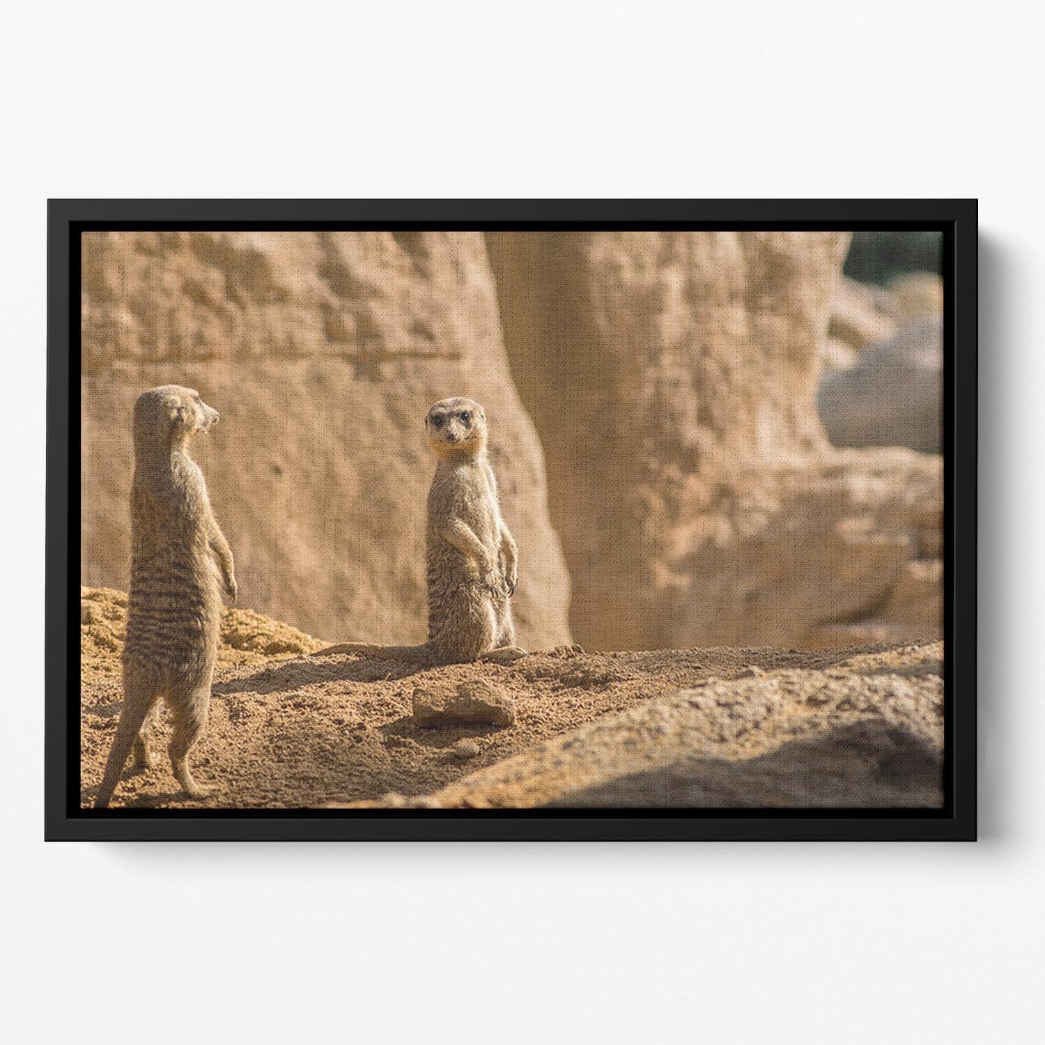 Two alert Meerkats in the desert Floating Framed Canvas - Canvas Art Rocks - 2