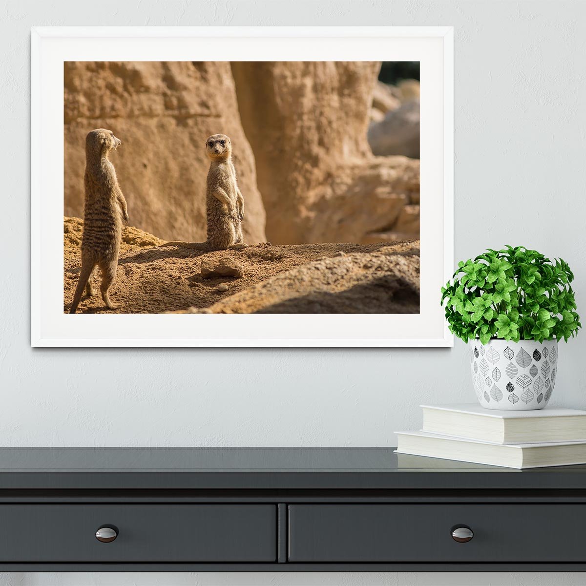Two alert Meerkats in the desert Framed Print - Canvas Art Rocks - 5