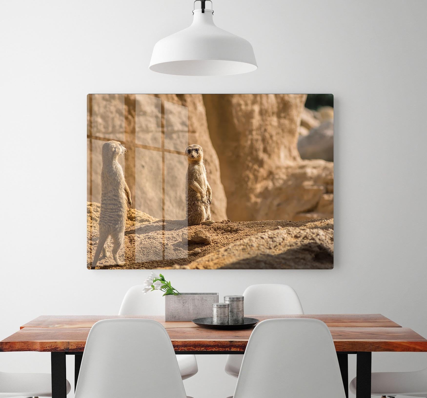 Two alert Meerkats in the desert HD Metal Print - Canvas Art Rocks - 2