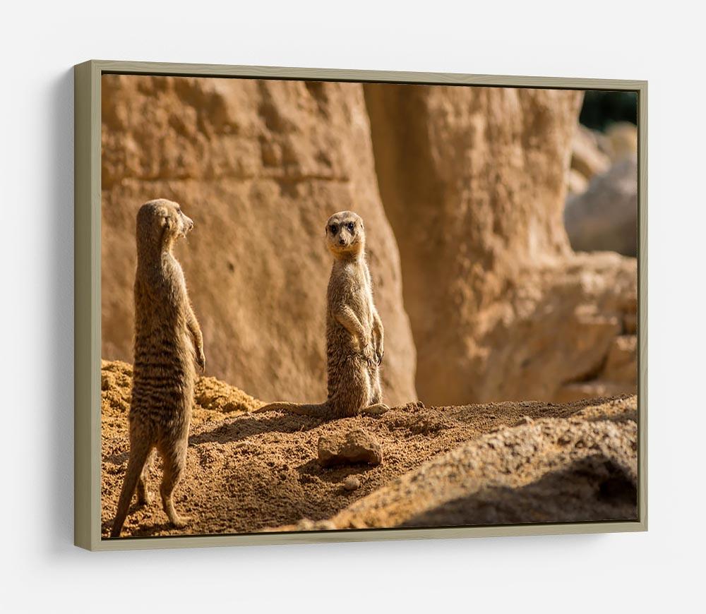 Two alert Meerkats in the desert HD Metal Print - Canvas Art Rocks - 8