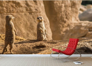 Two alert Meerkats in the desert Wall Mural Wallpaper - Canvas Art Rocks - 2