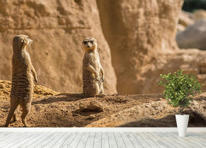 Two alert Meerkats in the desert Wall Mural Wallpaper - Canvas Art Rocks - 4
