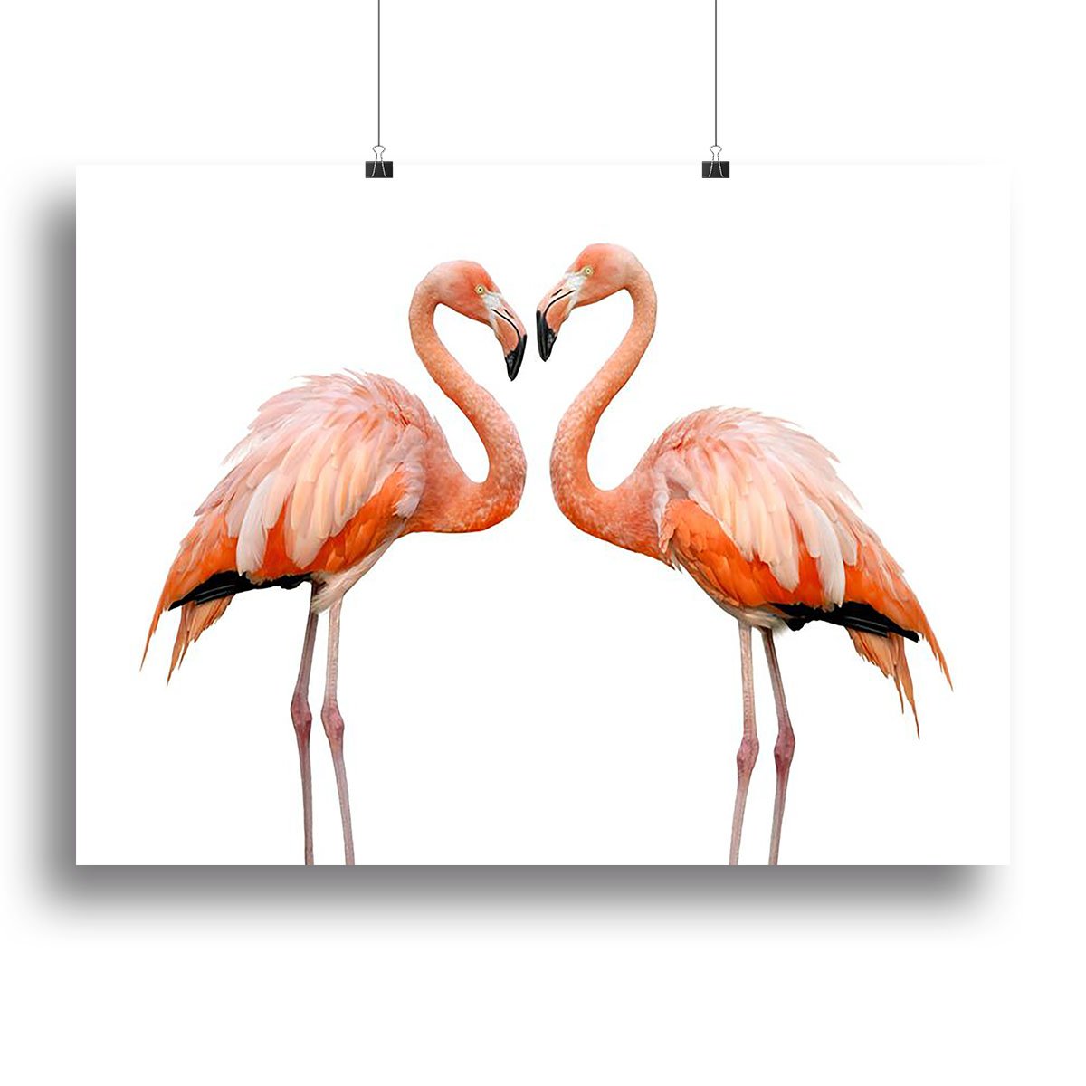 Two beautiful flamingos in love Canvas Print or Poster