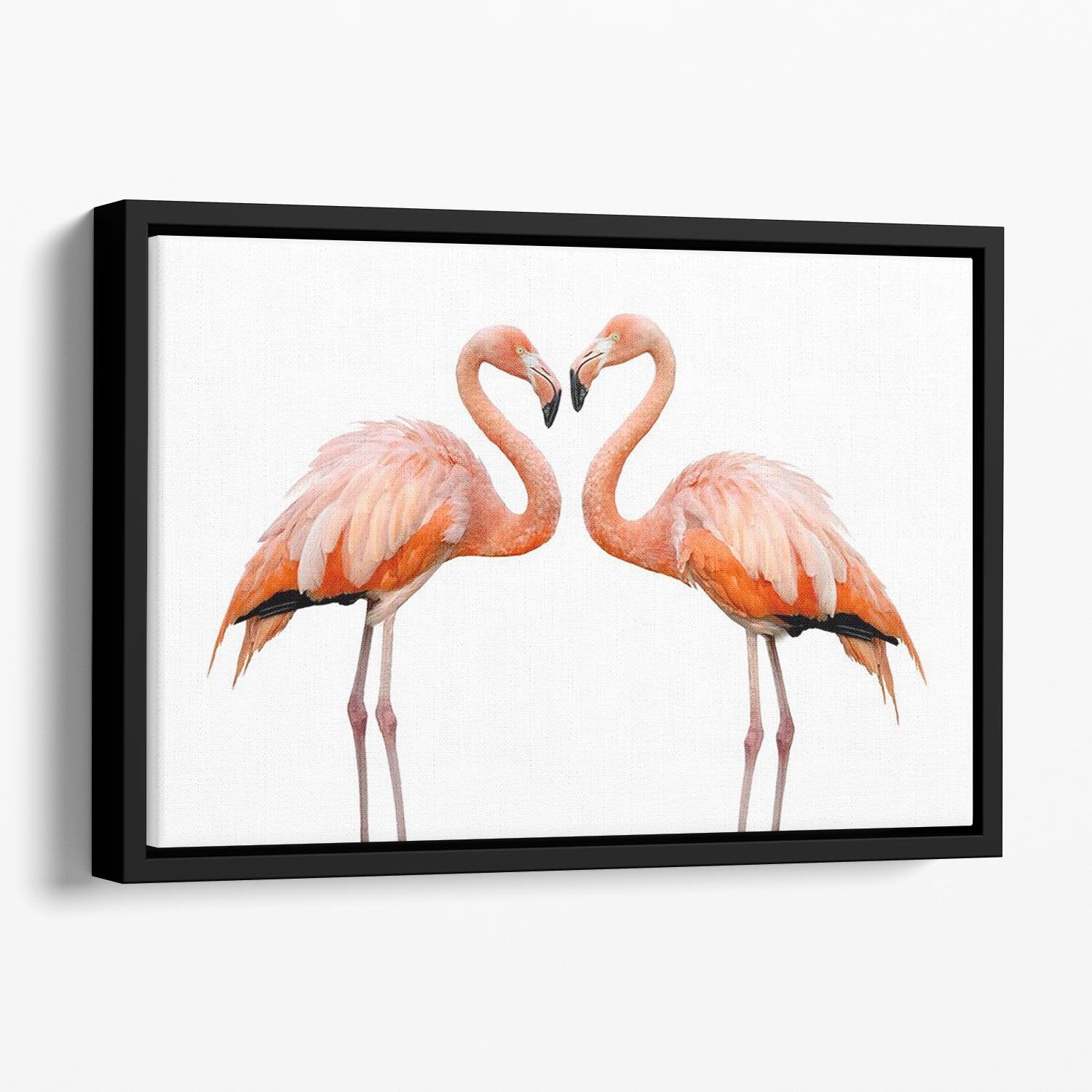 Two beautiful flamingos in love Floating Framed Canvas - Canvas Art Rocks - 1