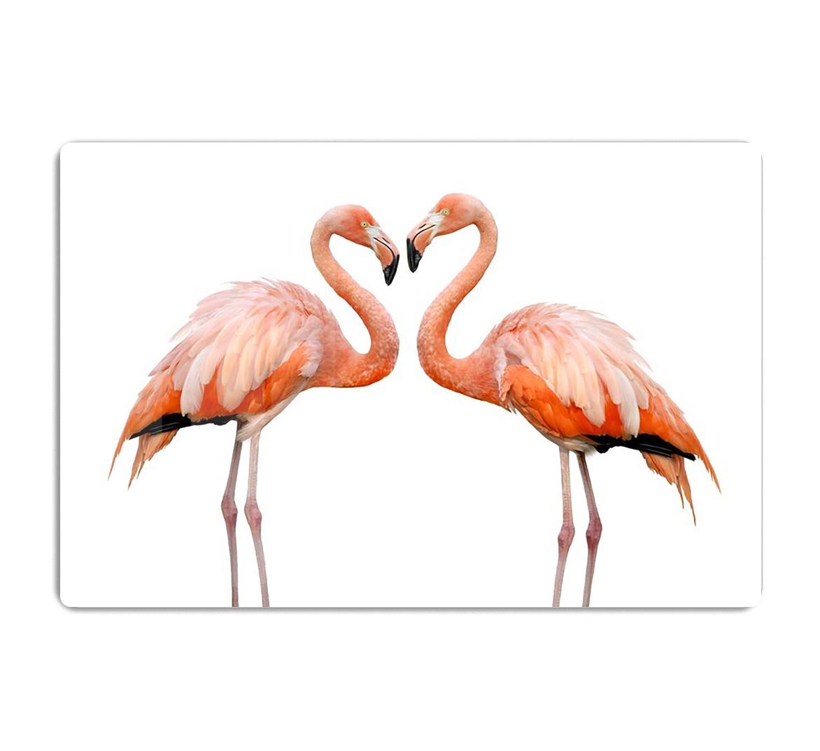 Two beautiful flamingos in love HD Metal Print - Canvas Art Rocks - 1