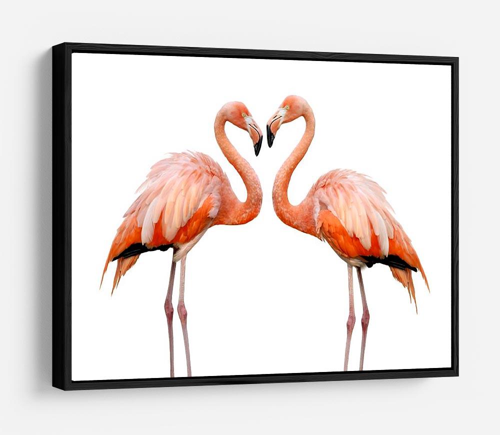 Two beautiful flamingos in love HD Metal Print - Canvas Art Rocks - 6
