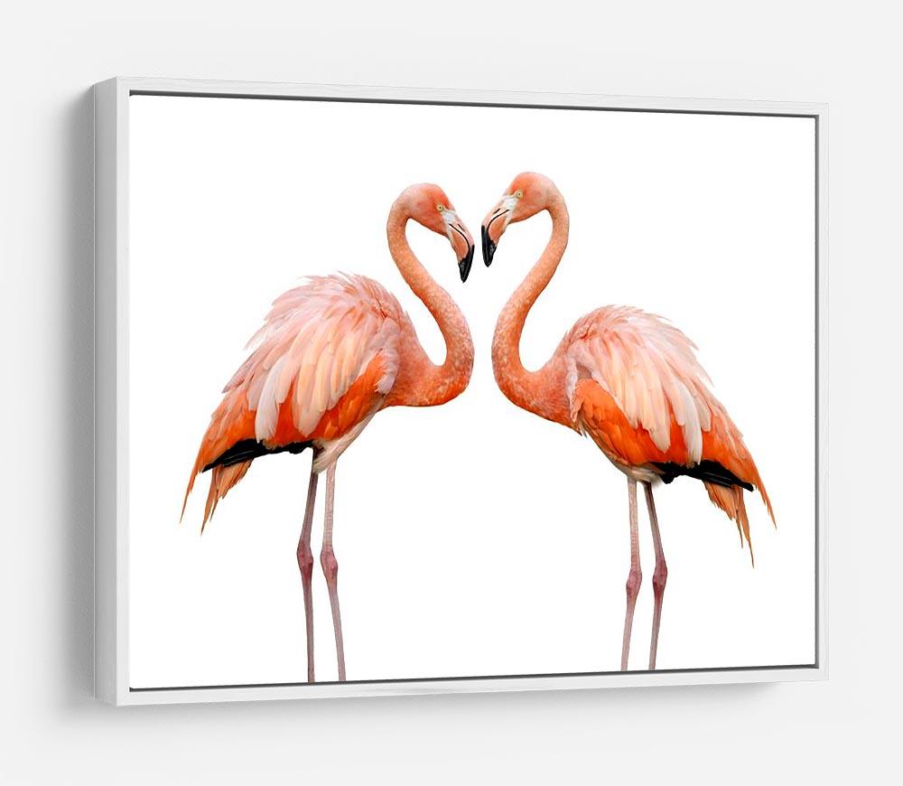 Two beautiful flamingos in love HD Metal Print - Canvas Art Rocks - 7