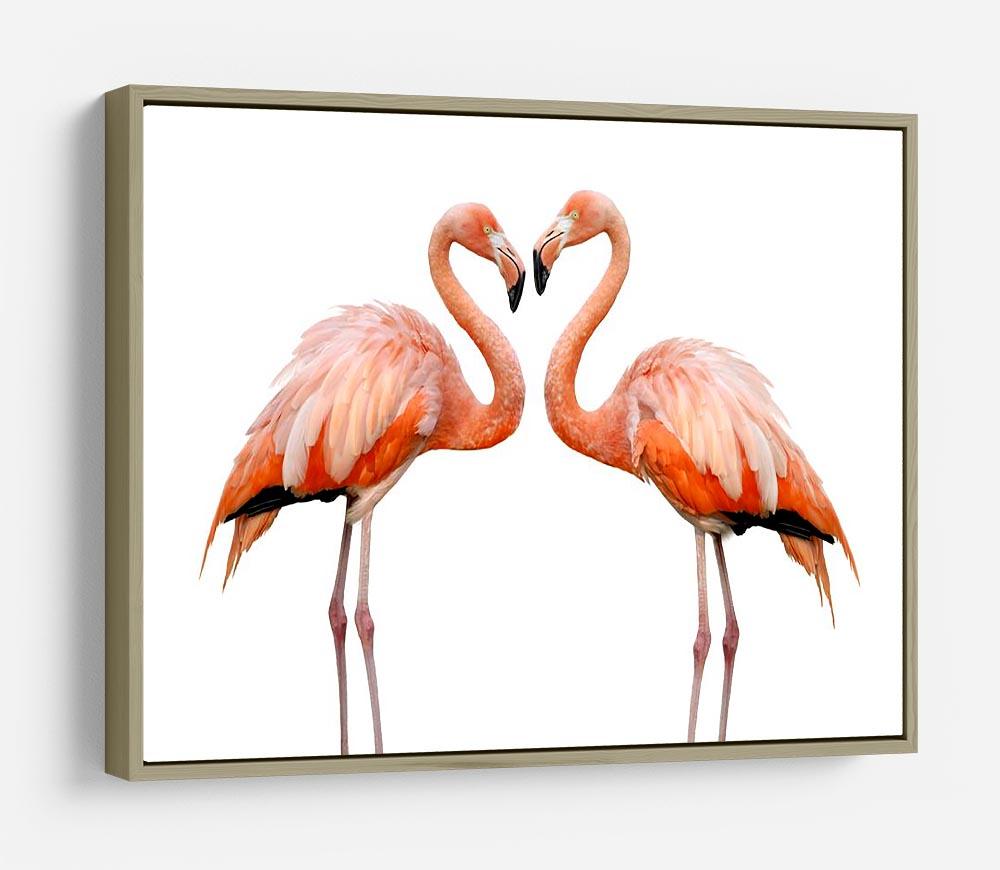 Two beautiful flamingos in love HD Metal Print - Canvas Art Rocks - 8
