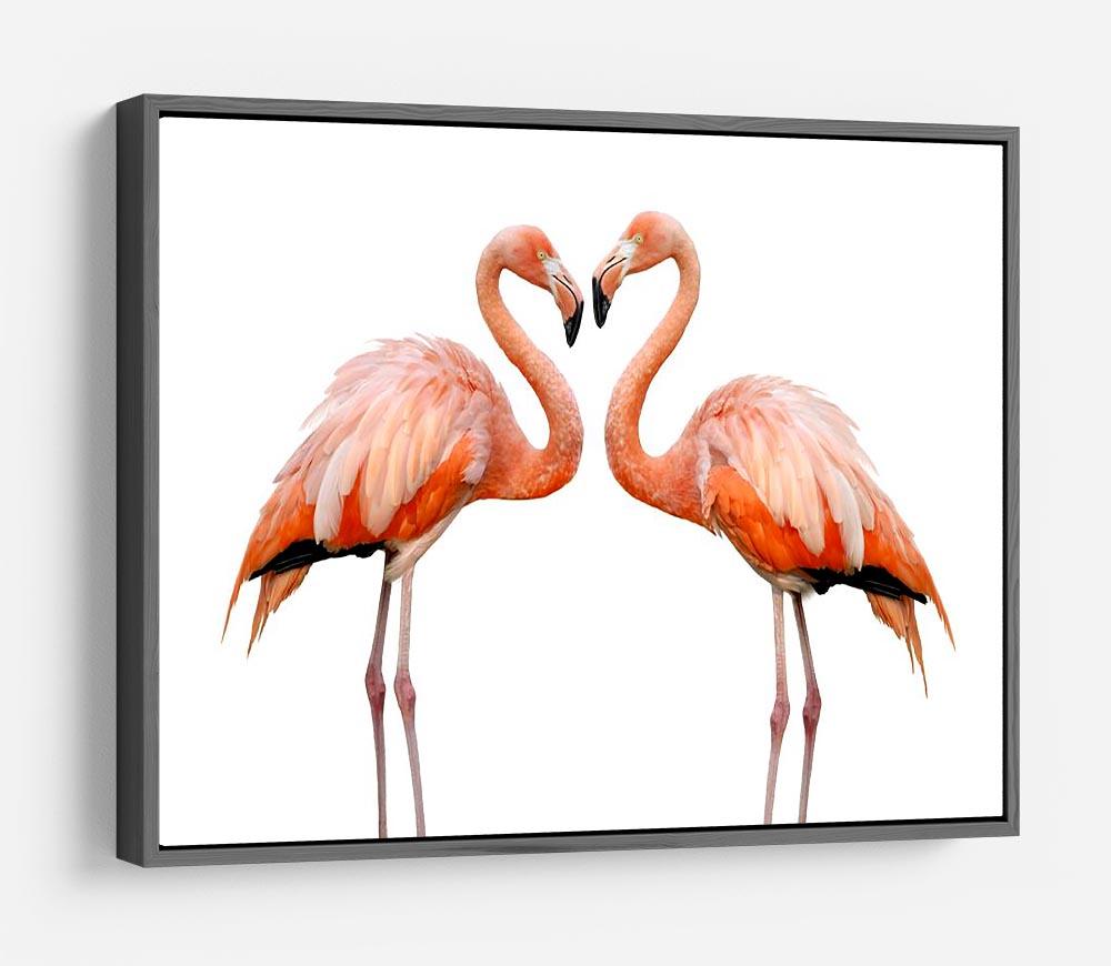 Two beautiful flamingos in love HD Metal Print - Canvas Art Rocks - 9