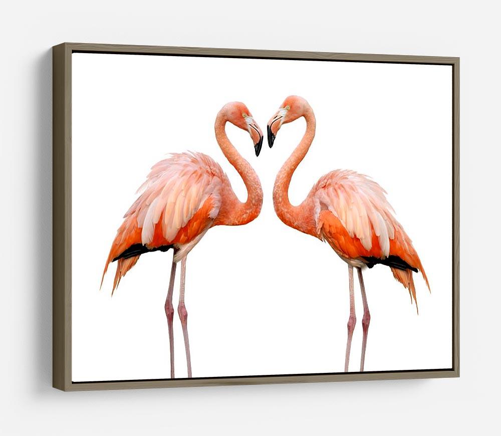 Two beautiful flamingos in love HD Metal Print - Canvas Art Rocks - 10