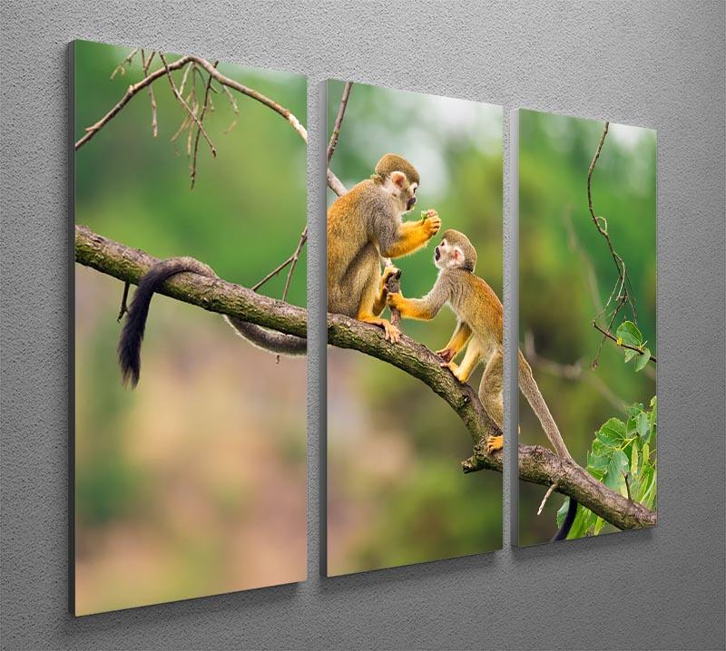 Two common squirrel monkeys 3 Split Panel Canvas Print - Canvas Art Rocks - 2