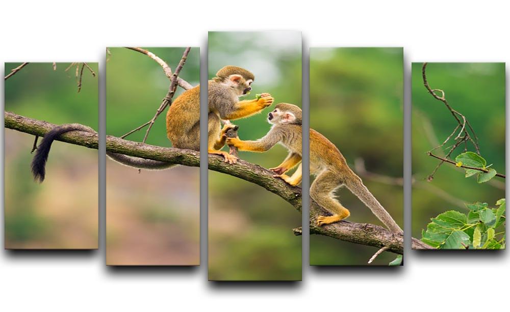 Two common squirrel monkeys 5 Split Panel Canvas - Canvas Art Rocks - 1