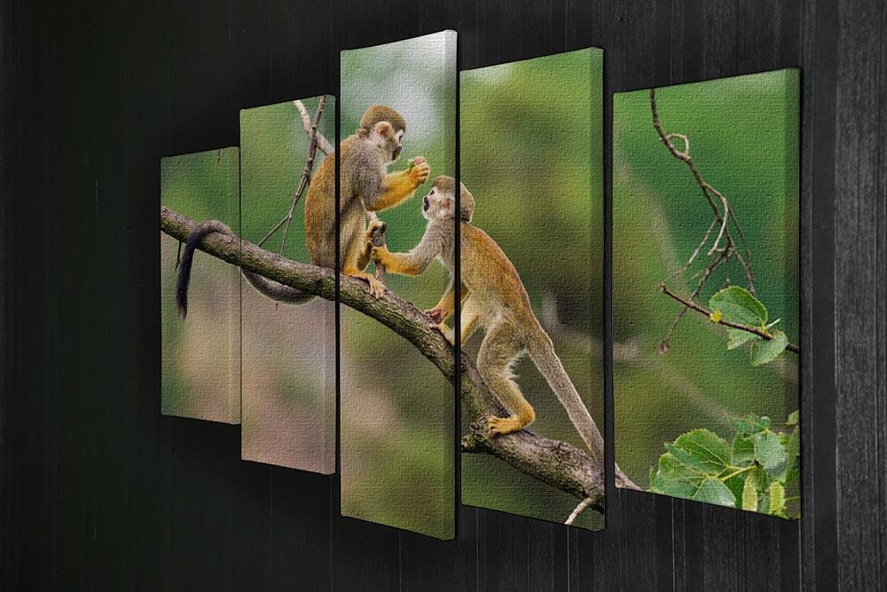 Two common squirrel monkeys 5 Split Panel Canvas - Canvas Art Rocks - 2