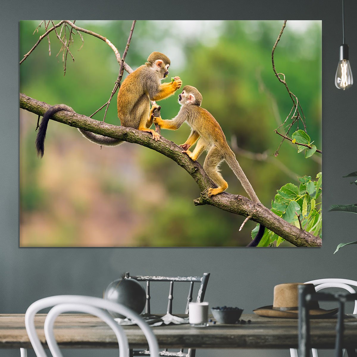 Two common squirrel monkeys Canvas Print or Poster