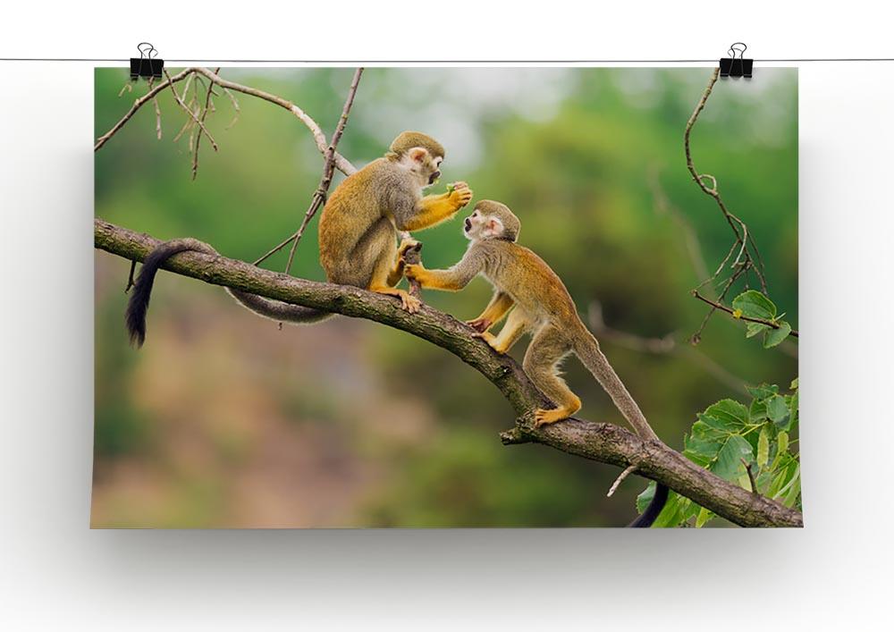 Two common squirrel monkeys Canvas Print or Poster - Canvas Art Rocks - 2