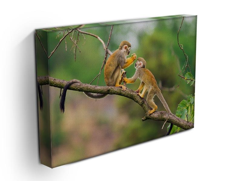 Two common squirrel monkeys Canvas Print or Poster - Canvas Art Rocks - 3