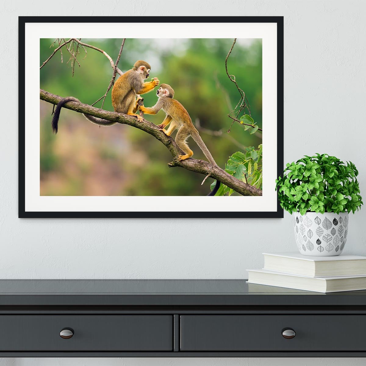 Two common squirrel monkeys Framed Print - Canvas Art Rocks - 1