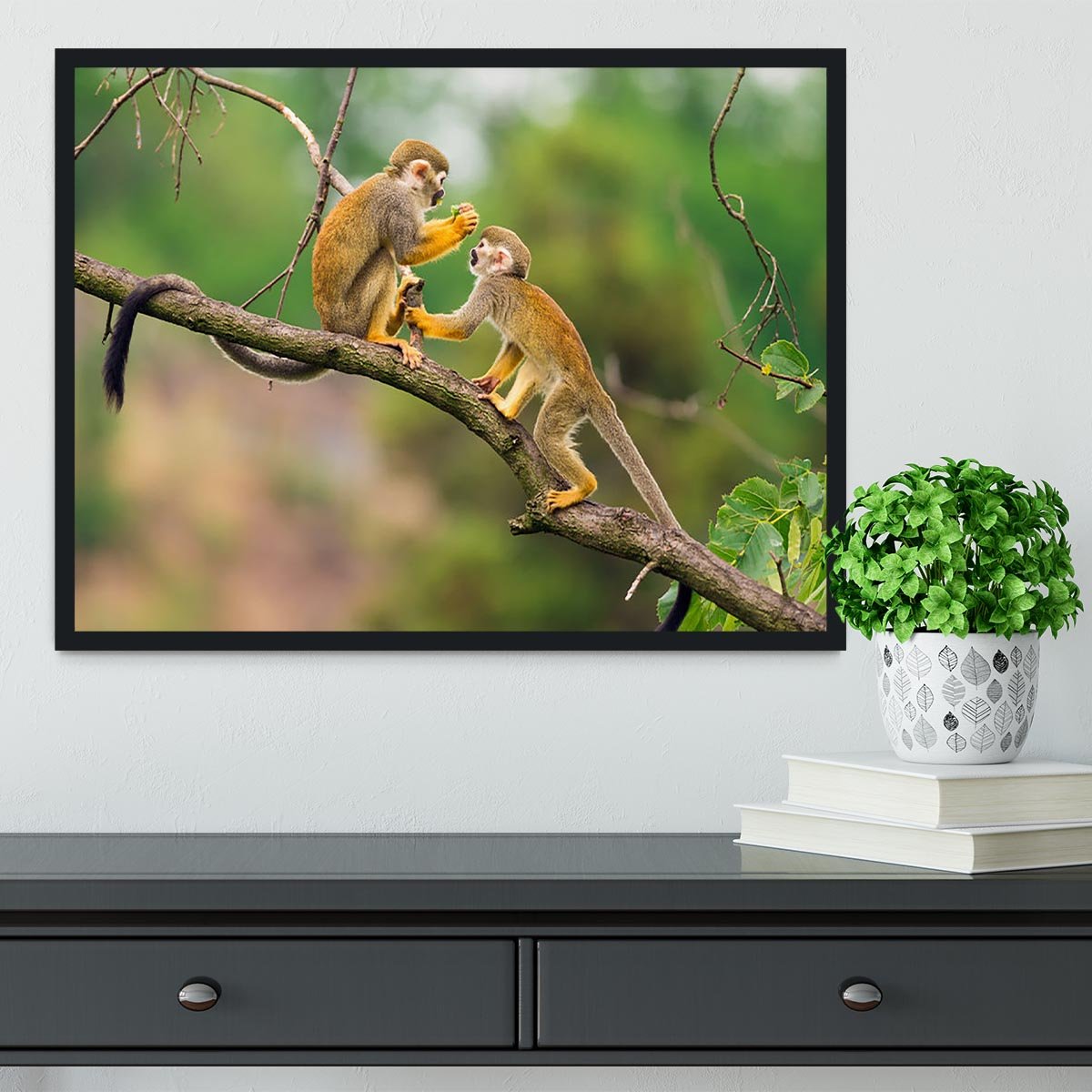 Two common squirrel monkeys Framed Print - Canvas Art Rocks - 2