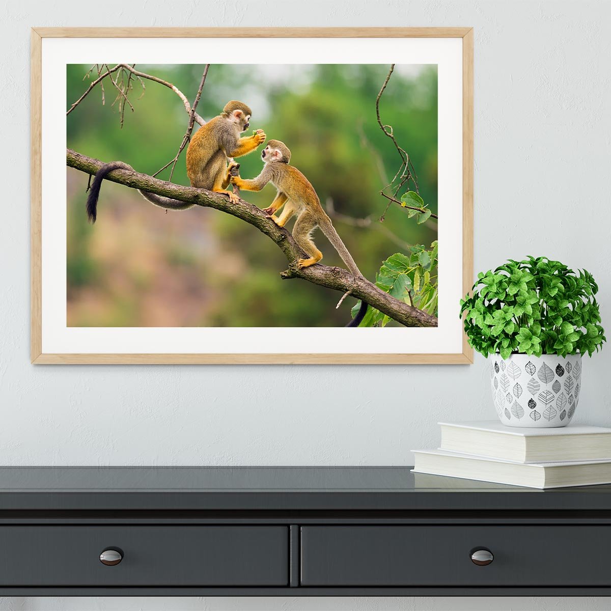 Two common squirrel monkeys Framed Print - Canvas Art Rocks - 3