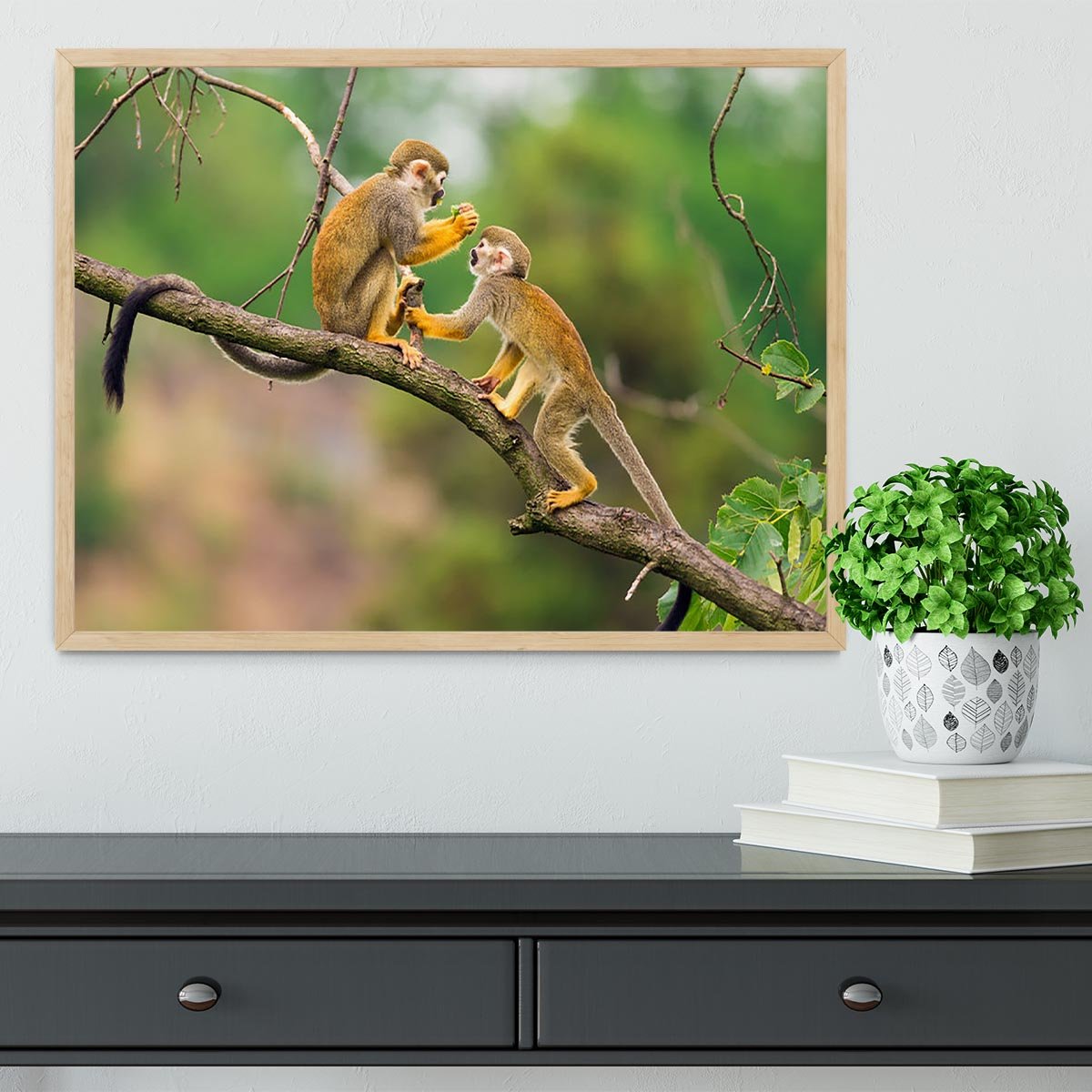 Two common squirrel monkeys Framed Print - Canvas Art Rocks - 4