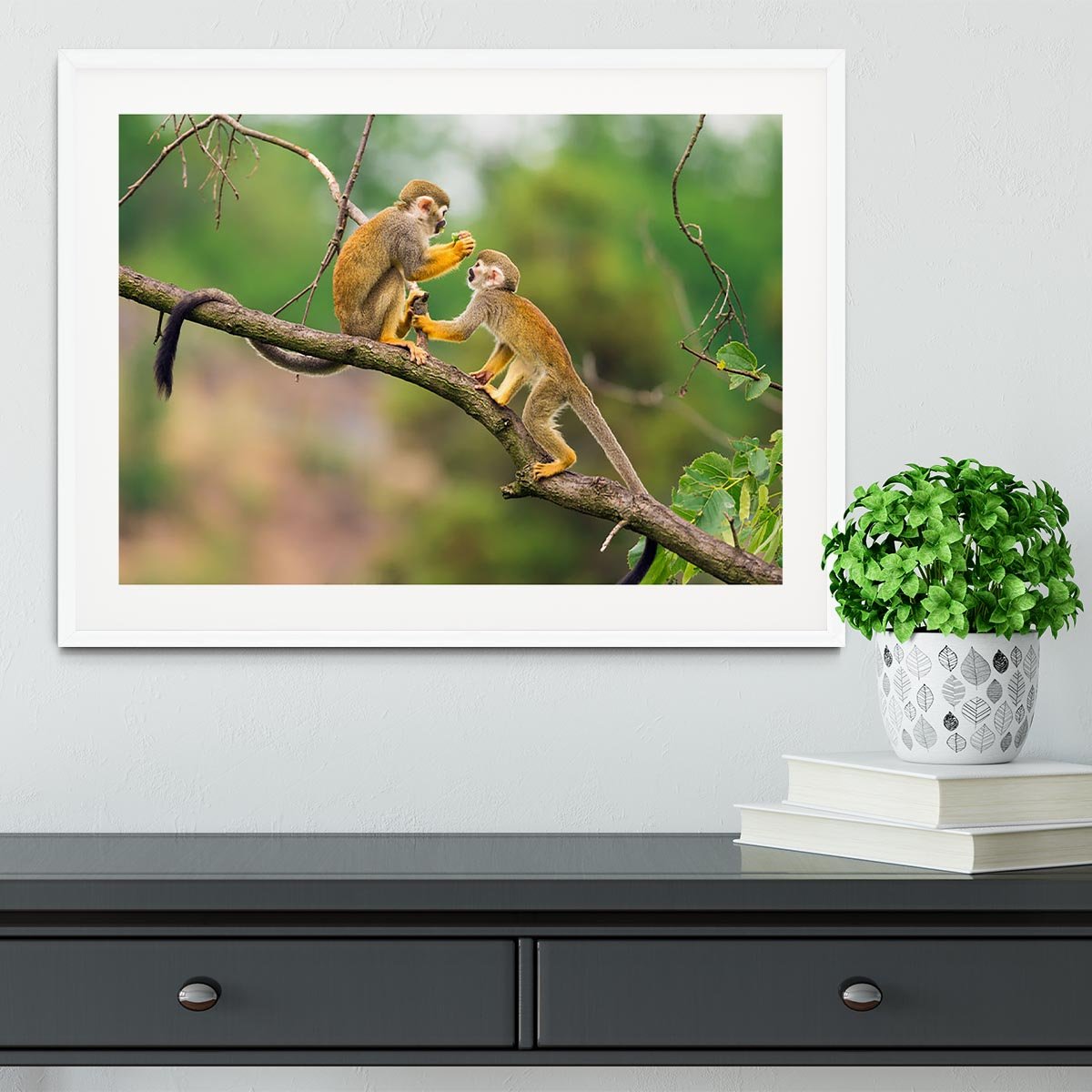 Two common squirrel monkeys Framed Print - Canvas Art Rocks - 5