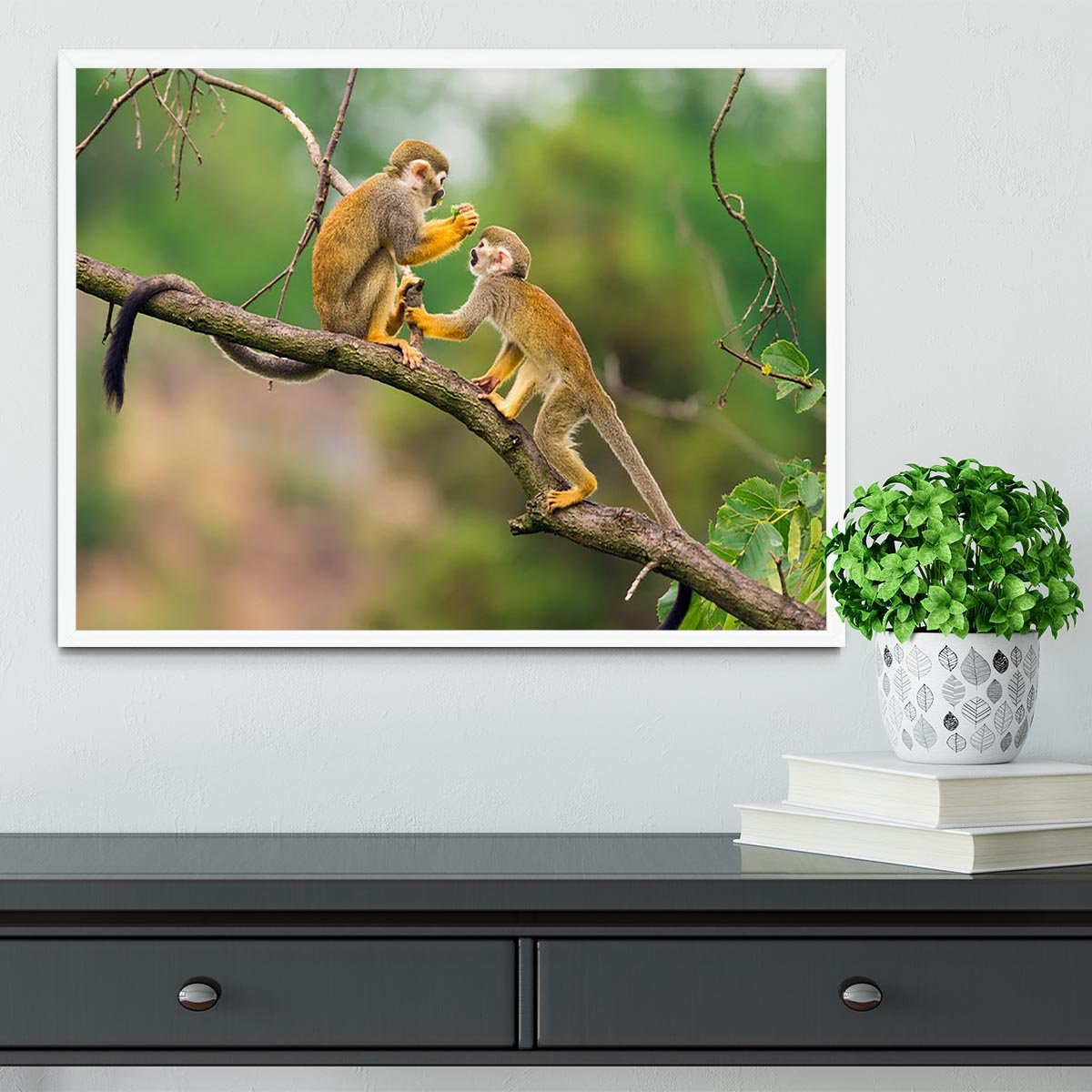 Two common squirrel monkeys Framed Print - Canvas Art Rocks -6
