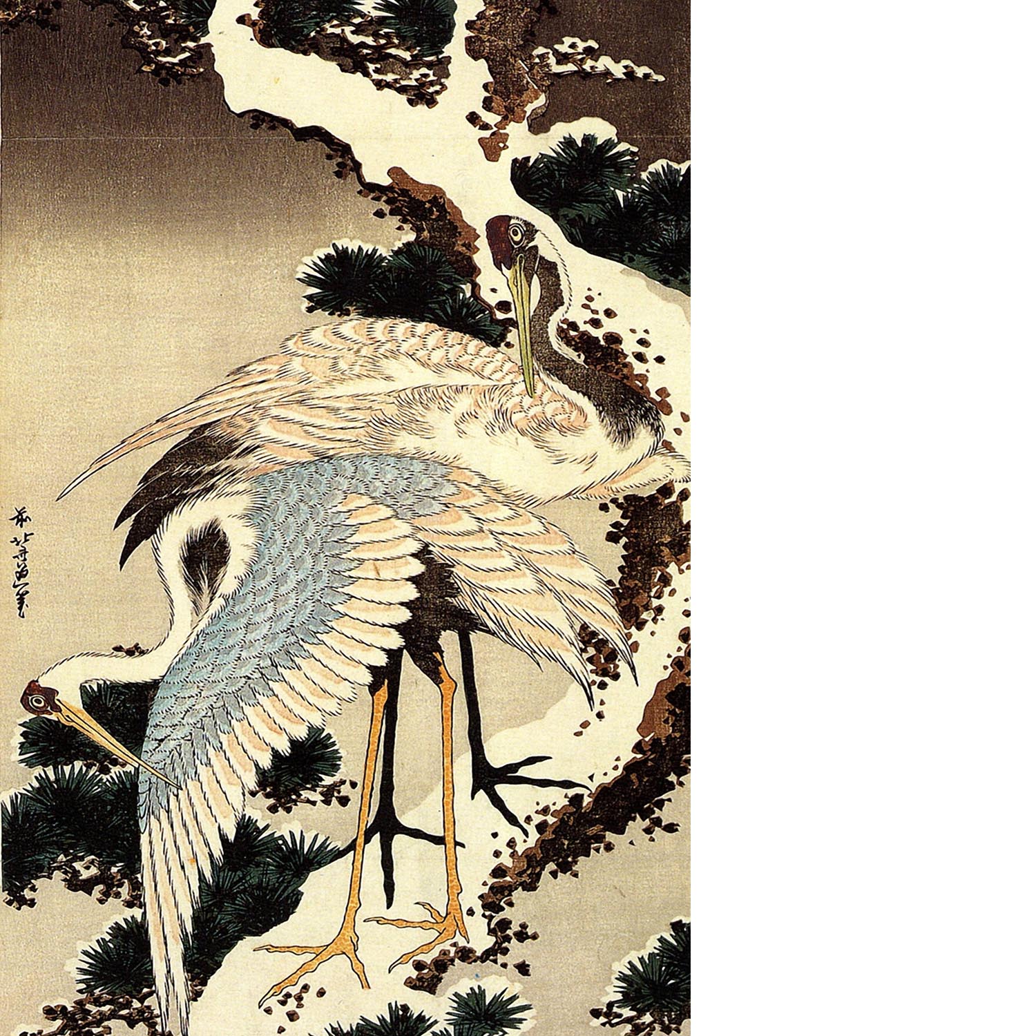 Two cranes on a pine covered with snow by Hokusai Floating Framed Canvas