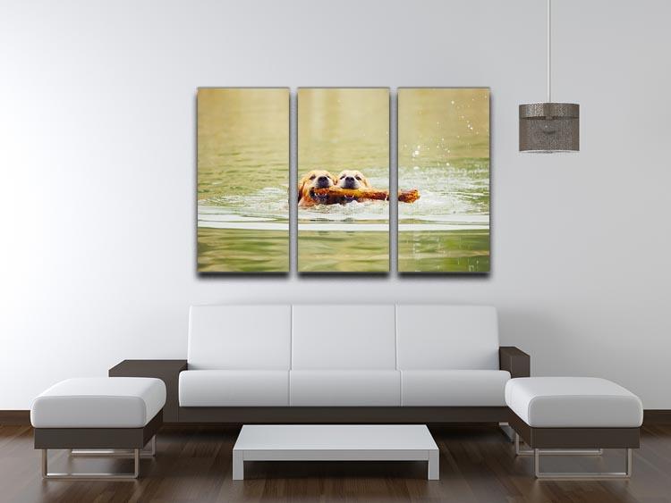 Two golden retrievers dogs are swimming with stick 3 Split Panel Canvas Print - Canvas Art Rocks - 3