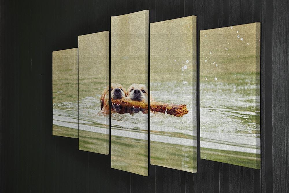 Two golden retrievers dogs are swimming with stick 5 Split Panel Canvas - Canvas Art Rocks - 2