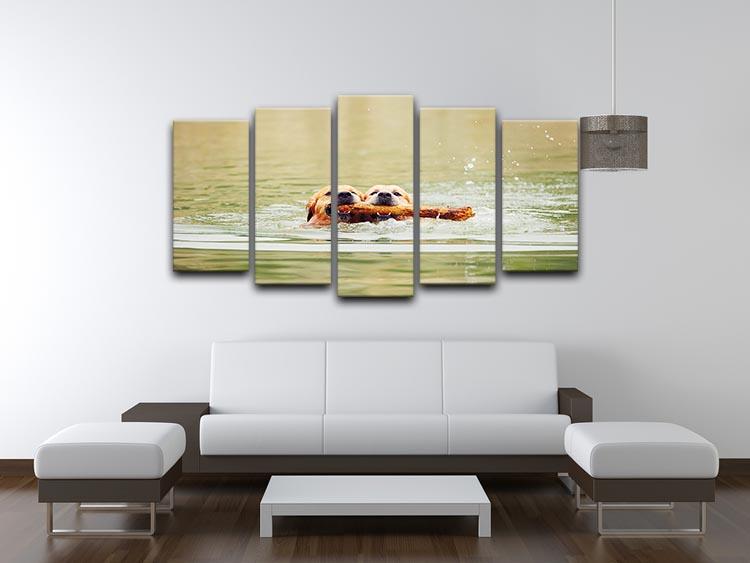 Two golden retrievers dogs are swimming with stick 5 Split Panel Canvas - Canvas Art Rocks - 3