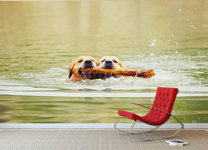 Two golden retrievers dogs are swimming with stick Wall Mural Wallpaper - Canvas Art Rocks - 2