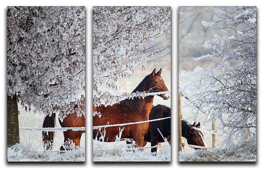 Two horses in a winter landscape 3 Split Panel Canvas Print - Canvas Art Rocks - 1