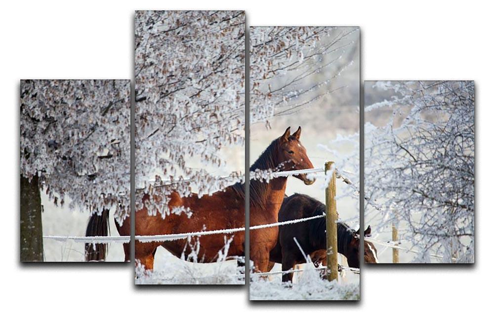 Two horses in a winter landscape 4 Split Panel Canvas - Canvas Art Rocks - 1