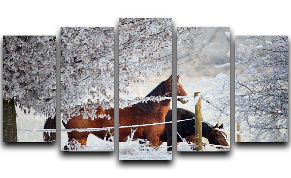 Two horses in a winter landscape 5 Split Panel Canvas - Canvas Art Rocks - 1