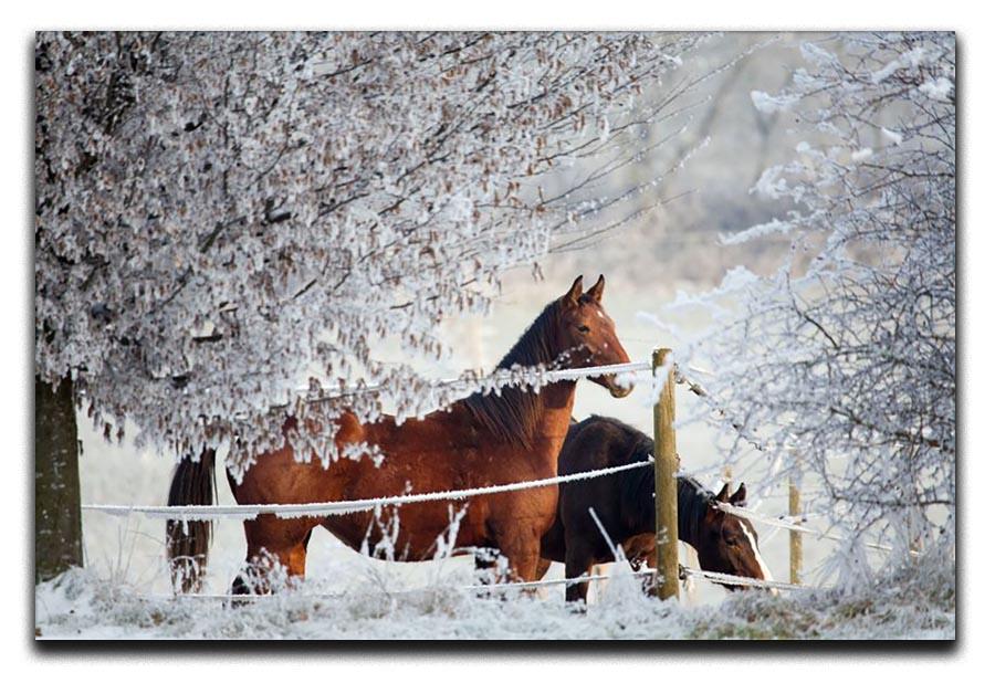 Two horses in a winter landscape Canvas Print or Poster - Canvas Art Rocks - 1