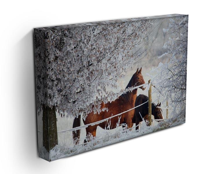 Two horses in a winter landscape Canvas Print or Poster - Canvas Art Rocks - 3