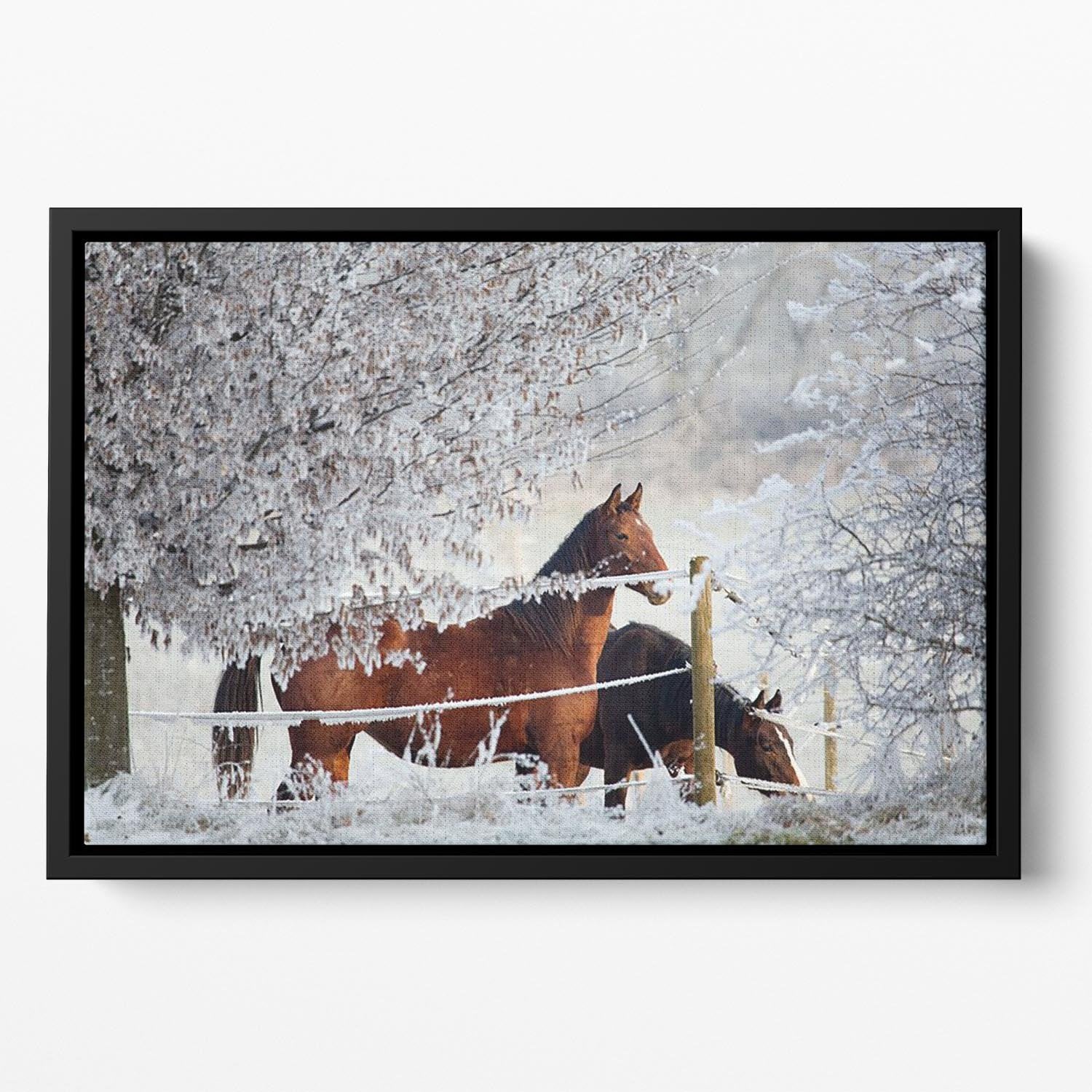Two horses in a winter landscape Floating Framed Canvas - Canvas Art Rocks - 2