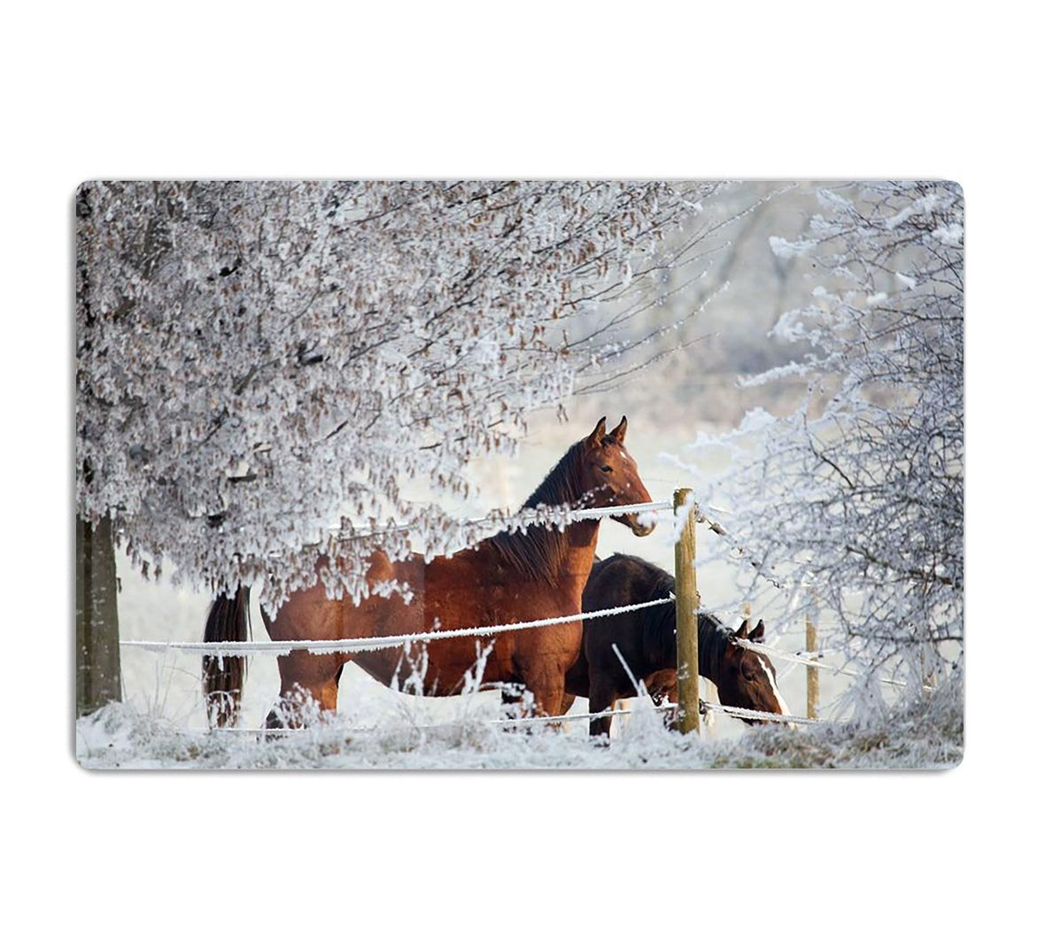 Two horses in a winter landscape HD Metal Print - Canvas Art Rocks - 1
