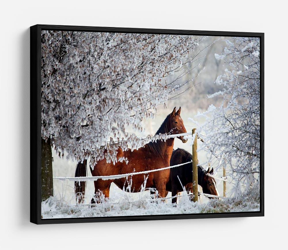 Two horses in a winter landscape HD Metal Print - Canvas Art Rocks - 6