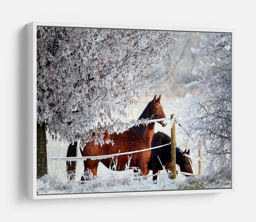 Two horses in a winter landscape HD Metal Print - Canvas Art Rocks - 7
