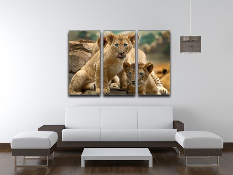 Two little Lion Cubs looking at something 3 Split Panel Canvas Print - Canvas Art Rocks - 3