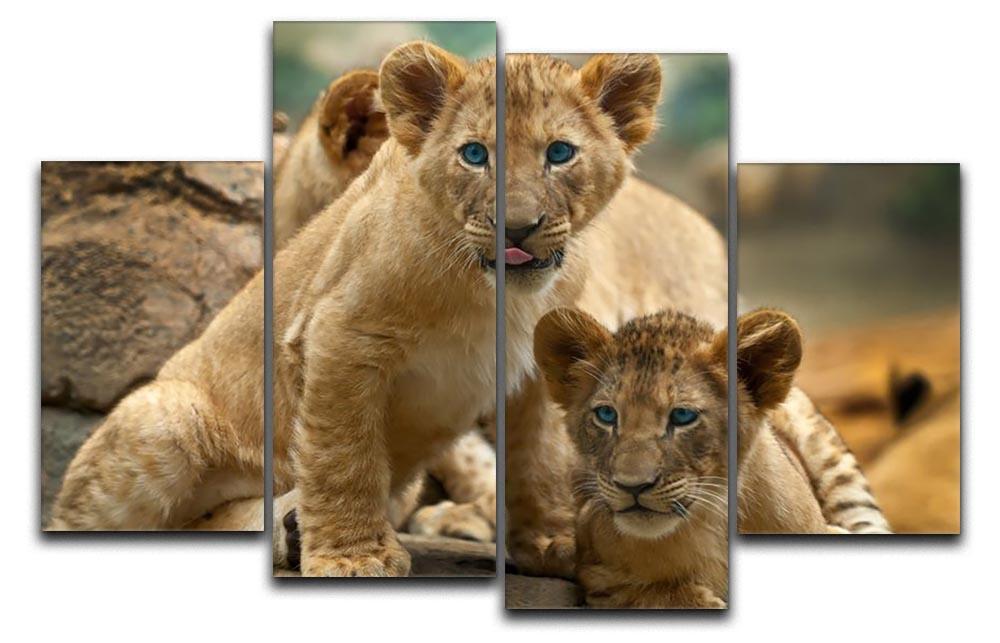 Two little Lion Cubs looking at something 4 Split Panel Canvas - Canvas Art Rocks - 1