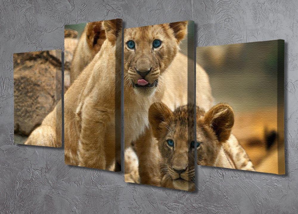 Two little Lion Cubs looking at something 4 Split Panel Canvas - Canvas Art Rocks - 2
