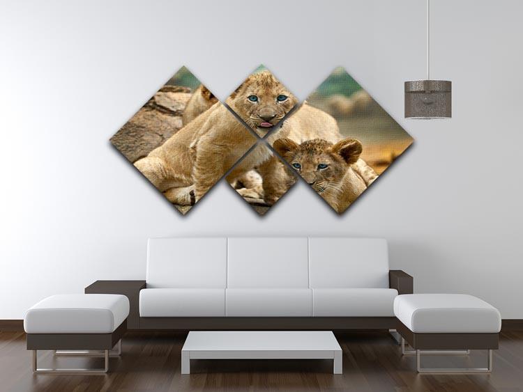 Two little Lion Cubs looking at something 4 Square Multi Panel Canvas - Canvas Art Rocks - 3