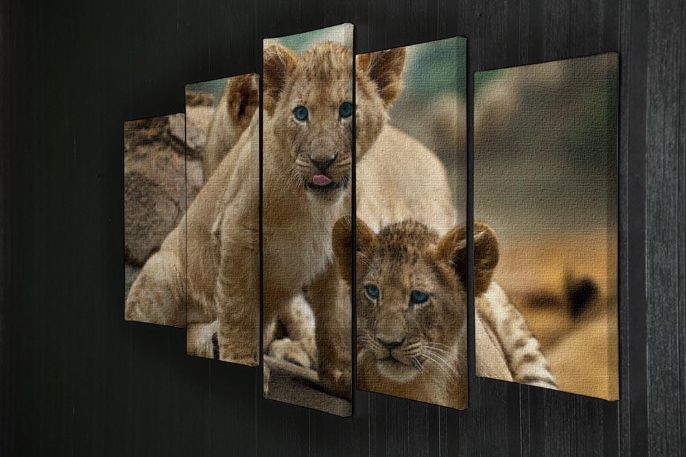 Two little Lion Cubs looking at something 5 Split Panel Canvas - Canvas Art Rocks - 2