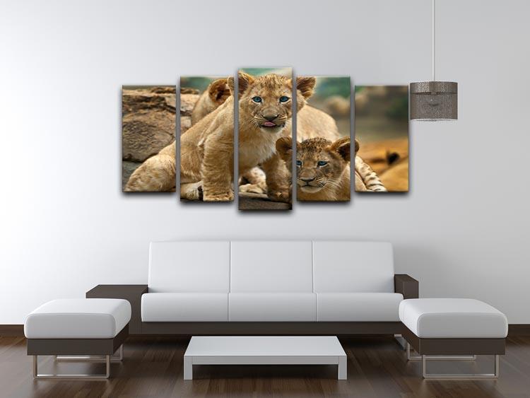Two little Lion Cubs looking at something 5 Split Panel Canvas - Canvas Art Rocks - 3