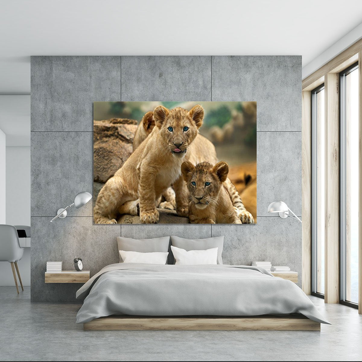 Two little Lion Cubs looking at something Canvas Print or Poster
