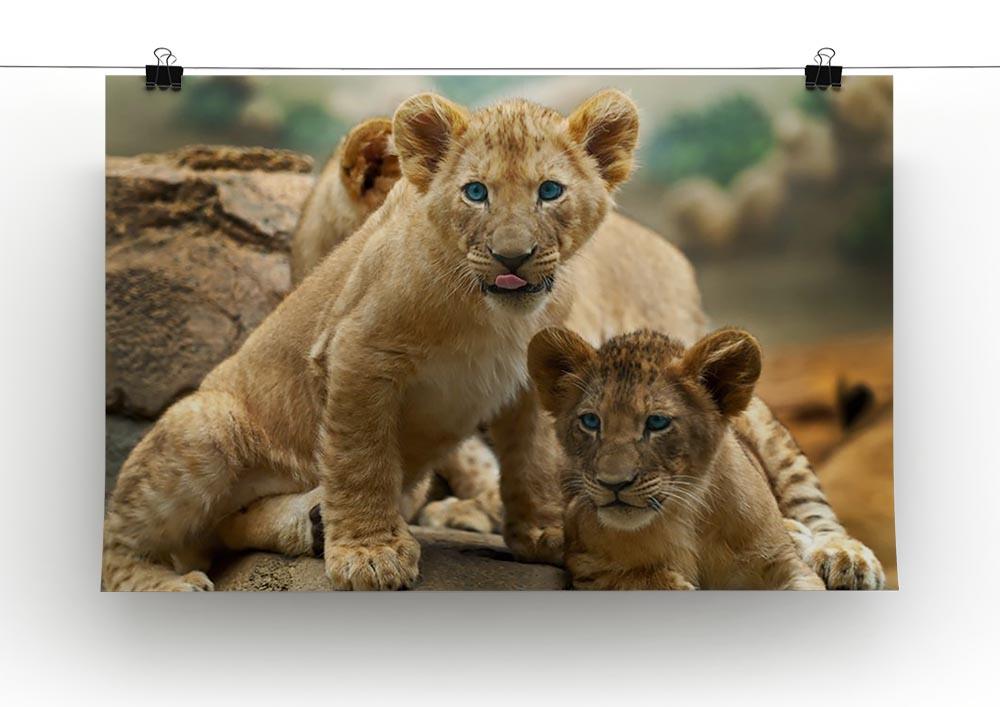Two little Lion Cubs looking at something Canvas Print or Poster - Canvas Art Rocks - 2